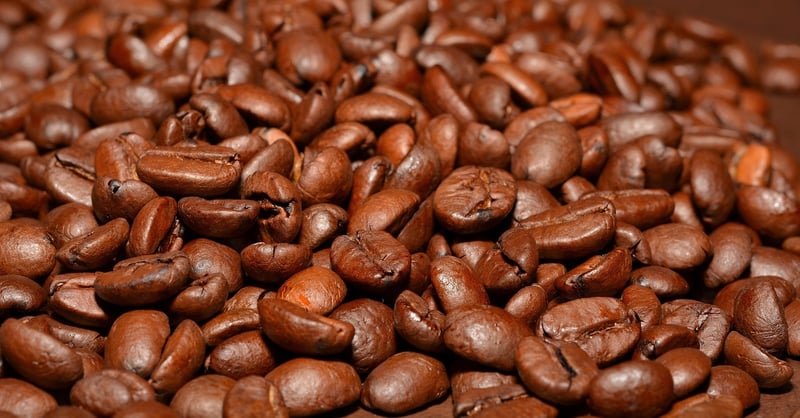 Transformation Brews